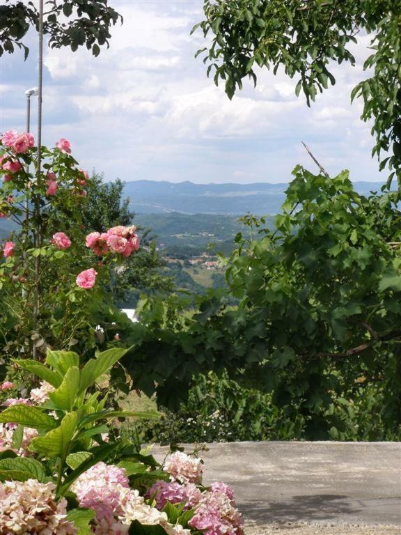 Apartman Vojskovic Gračišće Kültér fotó